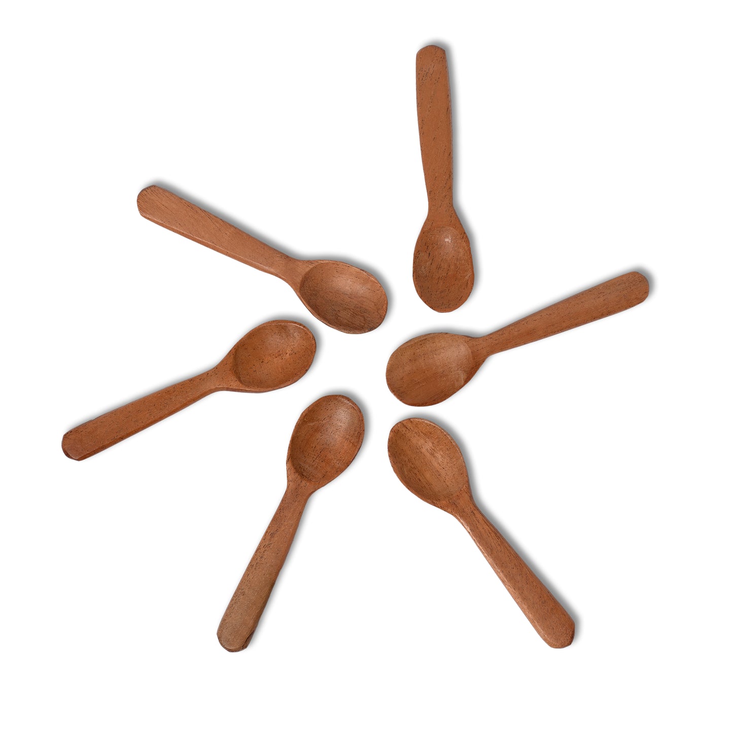 Wood Masala Spoon CS