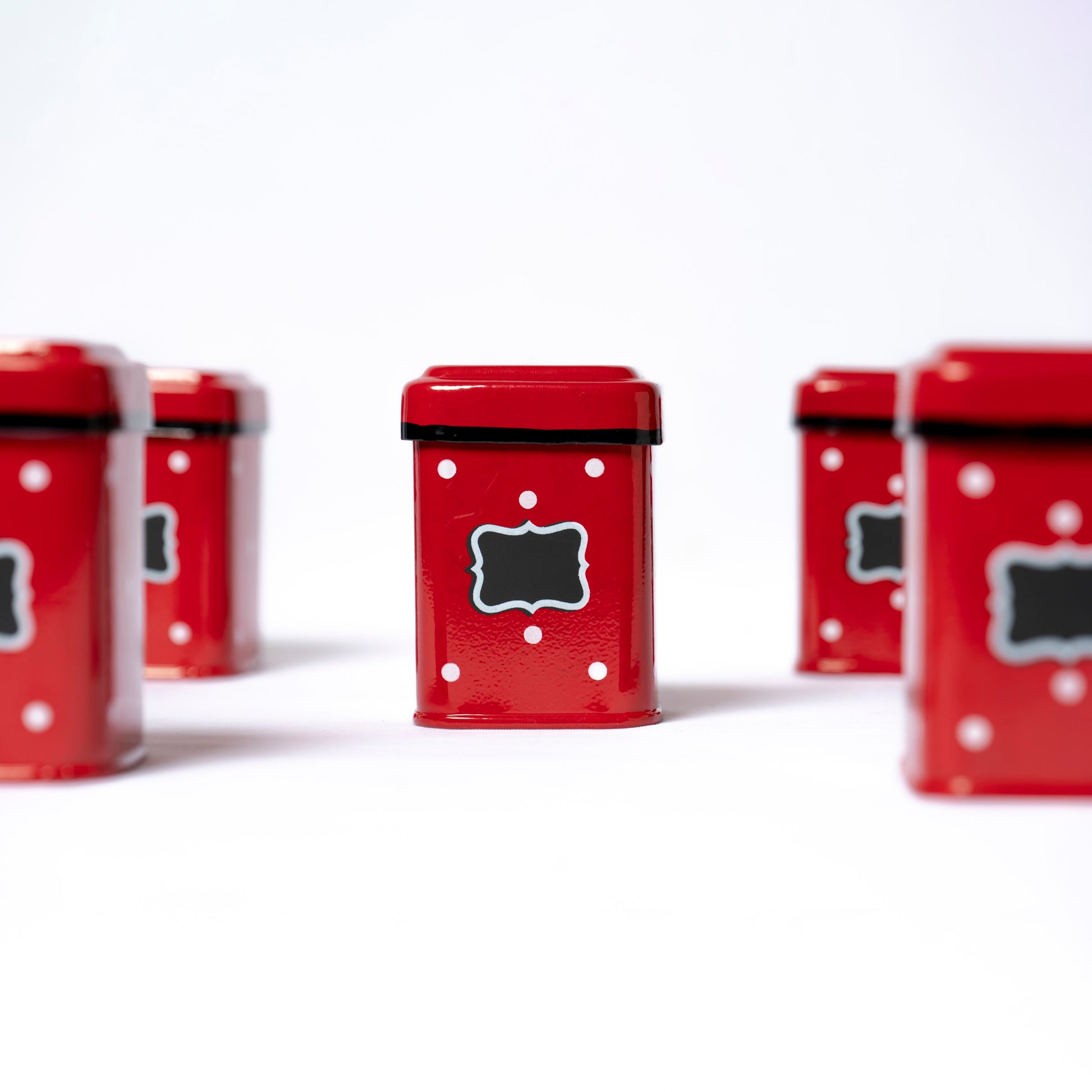 Steel Spice Container (Red) - SCST0003 - View 6