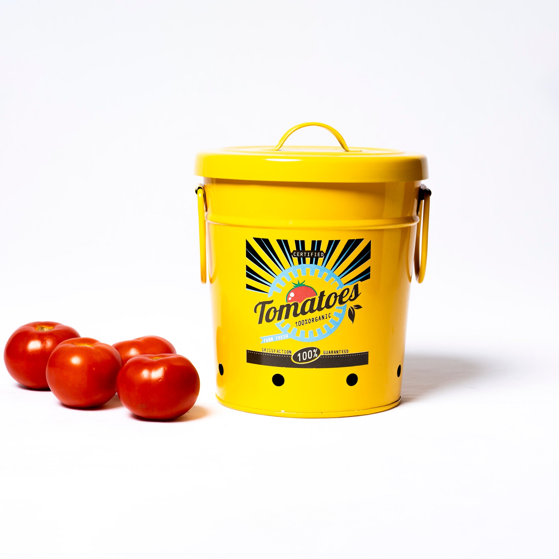 Steel Container (Yellow) - SCST0013 - View 6