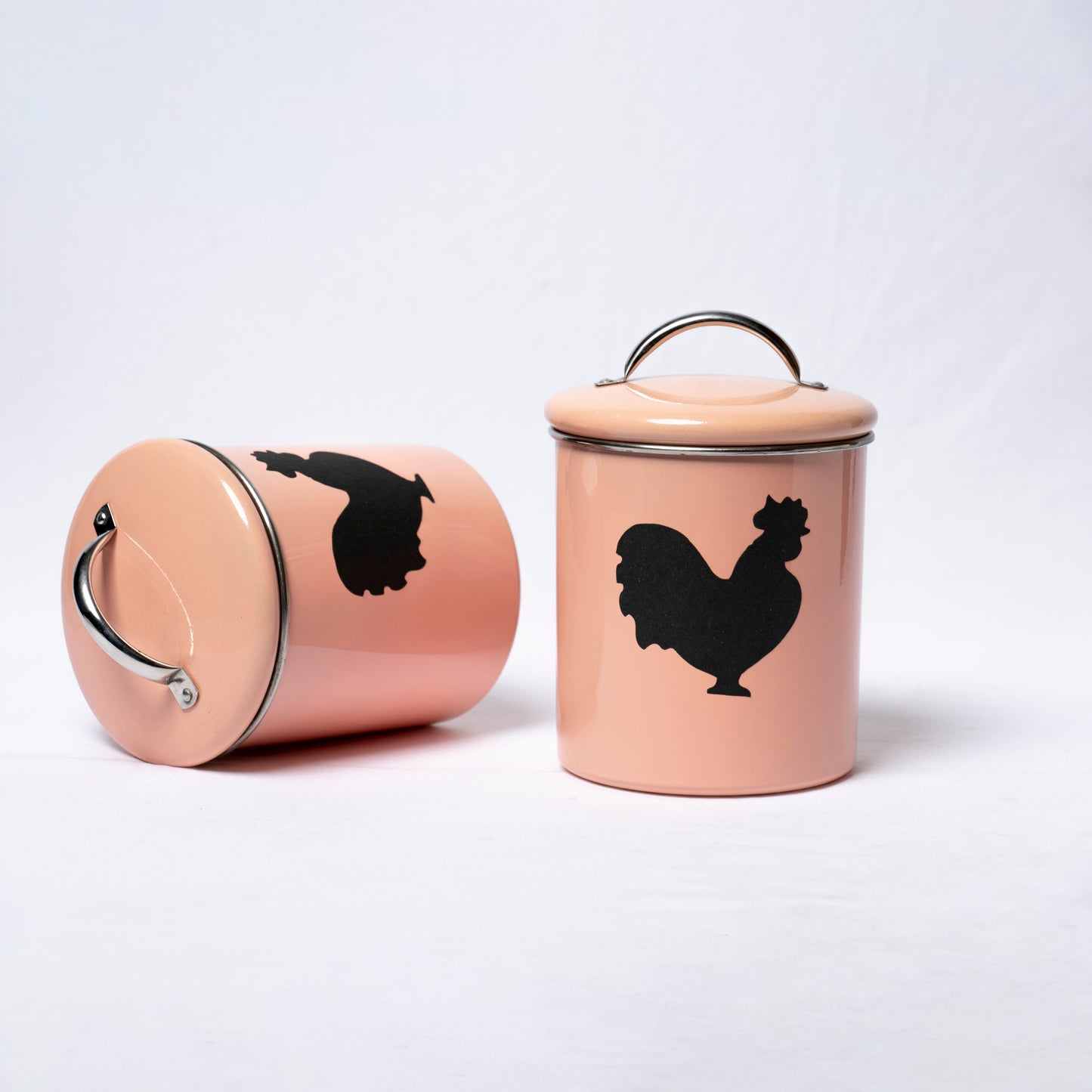 Storage Container Medium