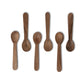 Wood Masala Spoon DS